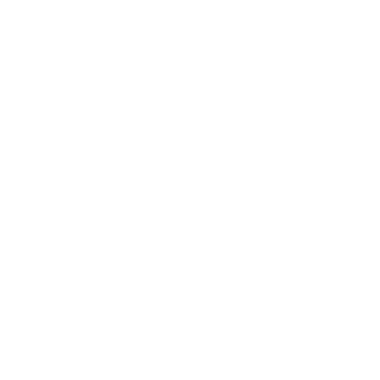 Pocket Tools white logo